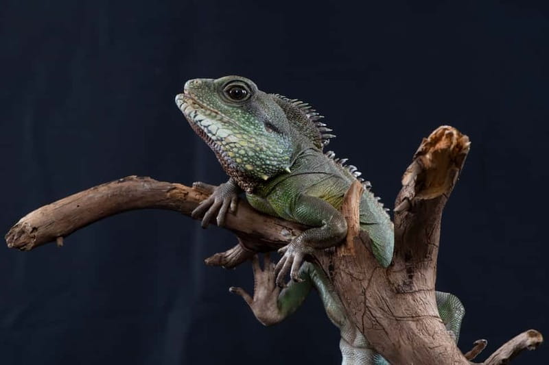 Munich: Day Ticket to Sea Life - What you’ll see across 12 exhibition areas (and how long to plan)