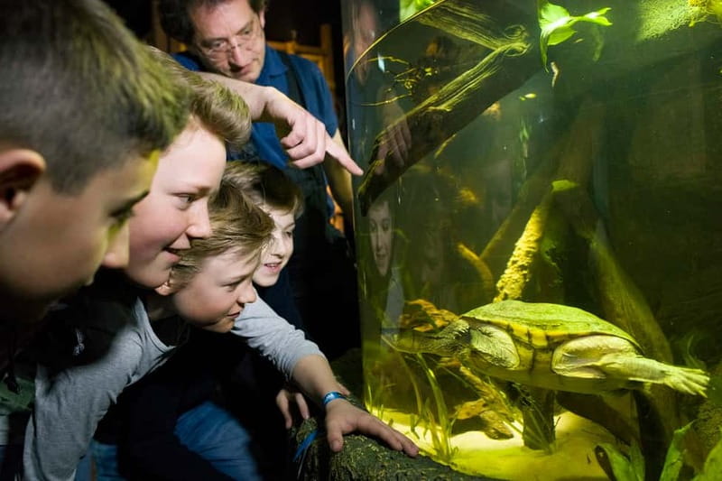 Munich: Day Ticket to Sea Life - Getting Oriented at Sea Life Munich: Olympiapark makes it easy
