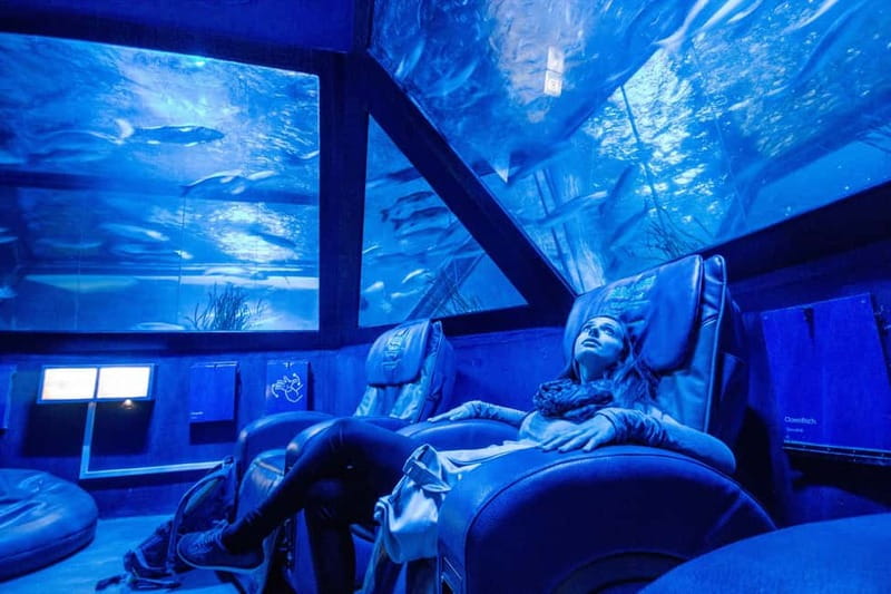 Munich: Day Ticket to Sea Life - The route through the exhibits: from local German waters to global oceans