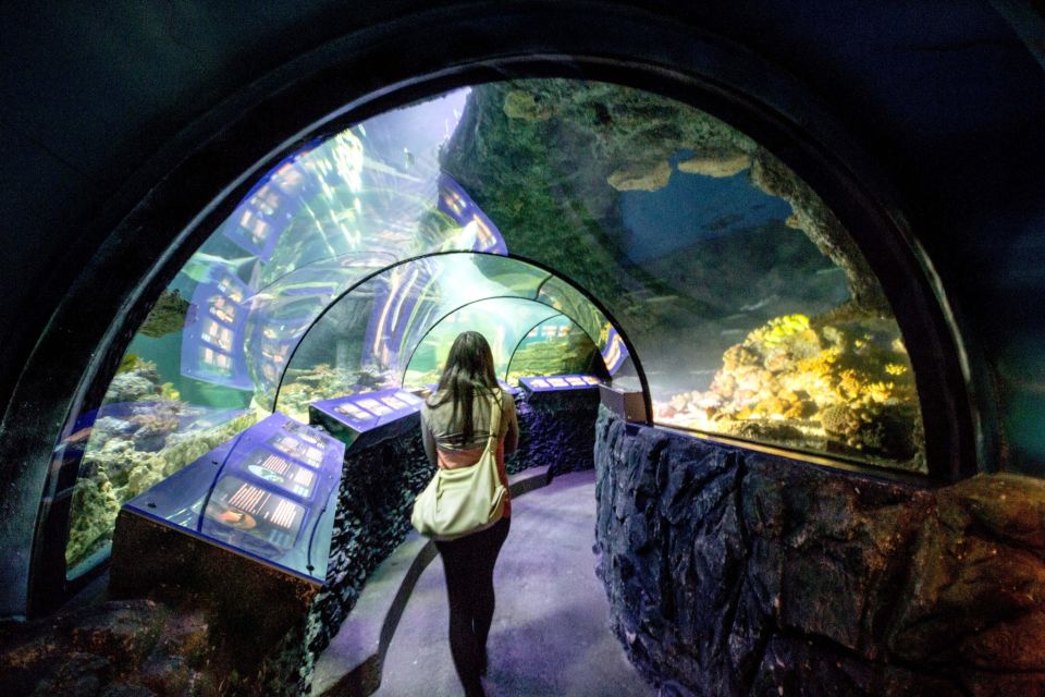 Munich: Day Ticket to Sea Life - Tropical Island zone: tickeling insects and giant African snails