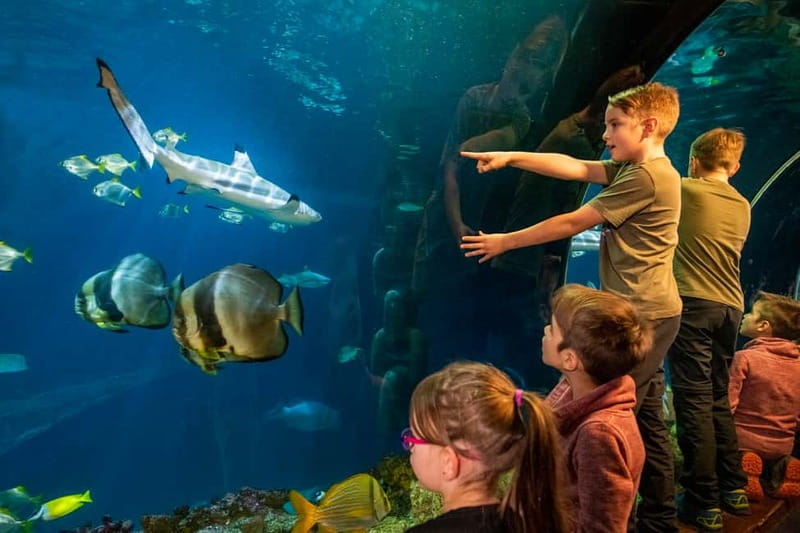 Munich: Day Ticket to Sea Life - Ticket value: what $25 gets you for a full day