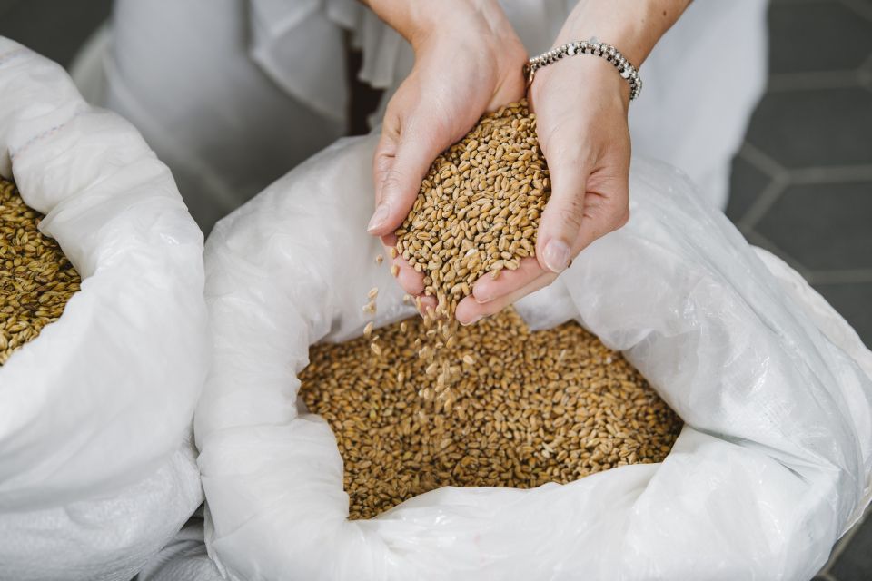 Munich: Hands-On Brewery Tour & Tasting of 4 Organic Beers - Malt tasting and hop aromas: the skill-building part that pays off
