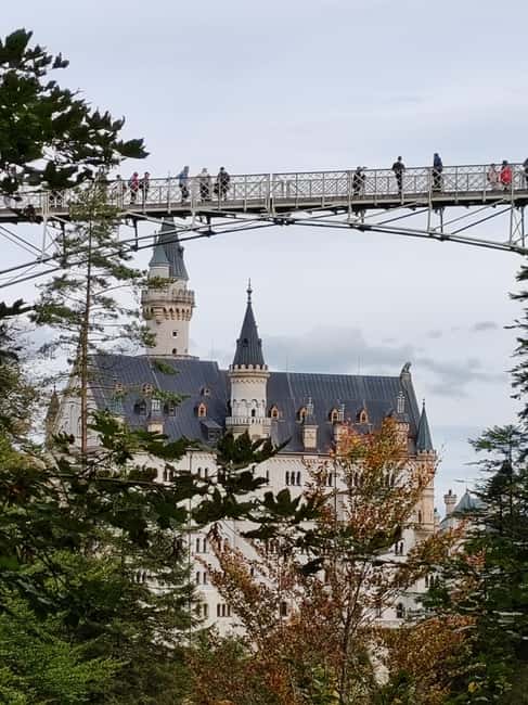 Munich: Neuschwanstein Castle by Bus with Alpine Bike Ride - Hohenschwangau Castle Option: If You Want a Different Side of Ludwig