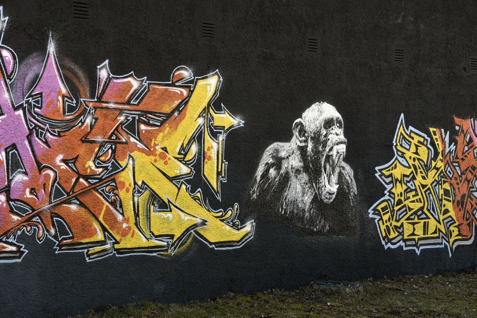 Munich: Street Art Bike Tour - Giesing: the neighborhood shift that changes the whole mood