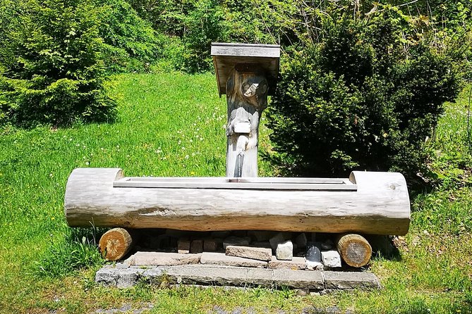 Neuschwanstein Castle by Bus Incl. Bike Ride or Hohenschwangau - Schwangau Bike Ride: Scenic Views, Safety Briefing, and Lake Time