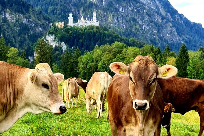 Neuschwanstein Castle, Ettal Abbey and Oberammergau Private Tour from Munich - Who this tour fits best (and who might want a different plan)