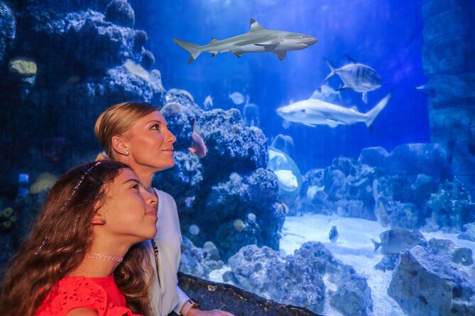 SEA LIFE Munich Admission Ticket - The aquarium lineup: 33 tanks and the shark variety claim