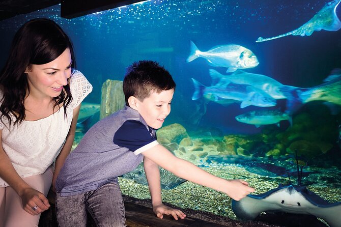 SEA LIFE Munich Admission Ticket - Price and value: $28.91 is fair if you know what you want